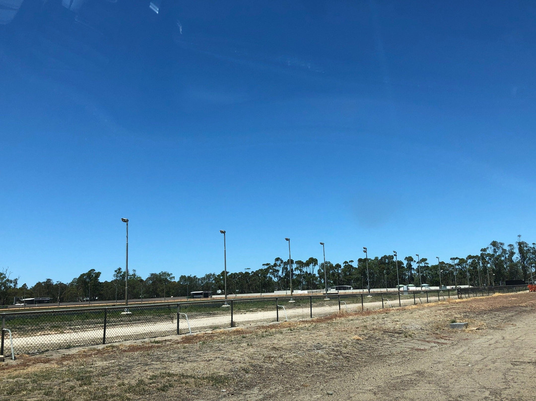 Horsham Greyhound Racing Complex-霍舌姆必去景点