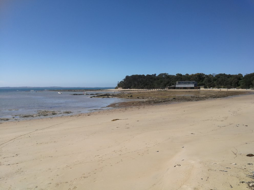 Mornington Peninsula Plunge Wine Tours景点图片
