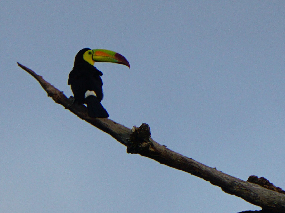 Mayan World Adventures-切图马尔必去景点