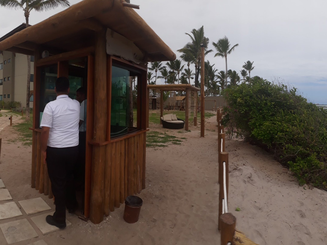 La Fleur Samoa主图