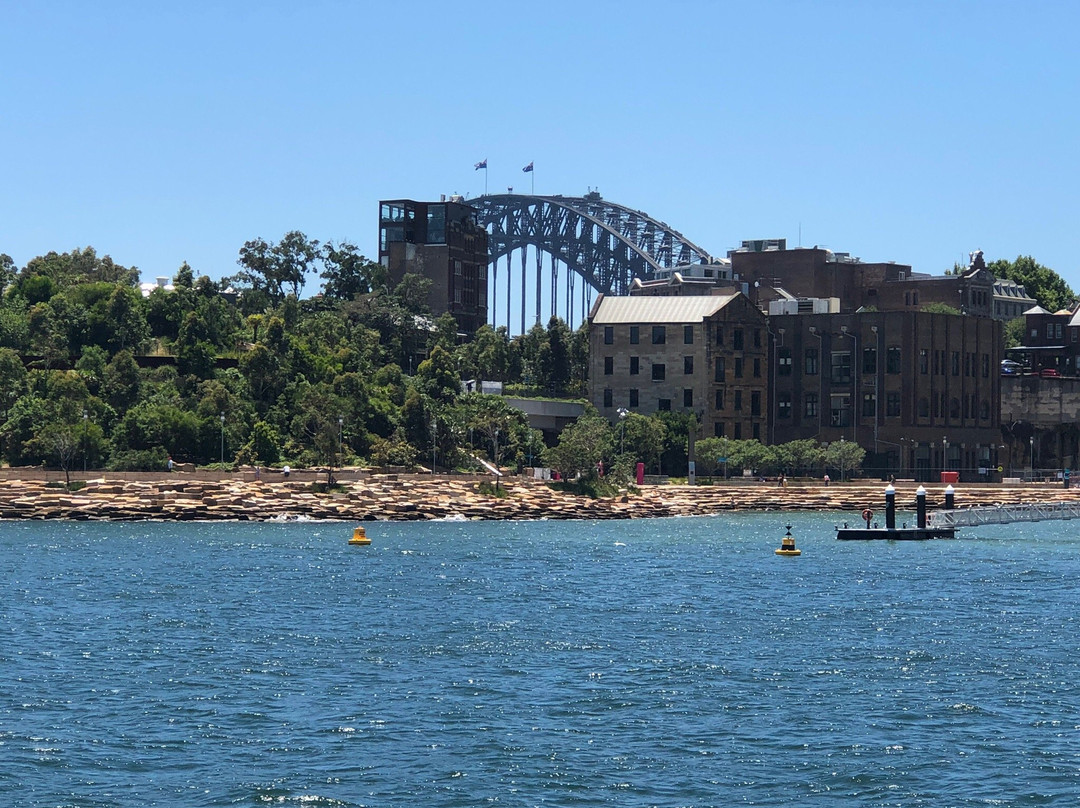 Manly Fast Ferry-曼利议会必去景点