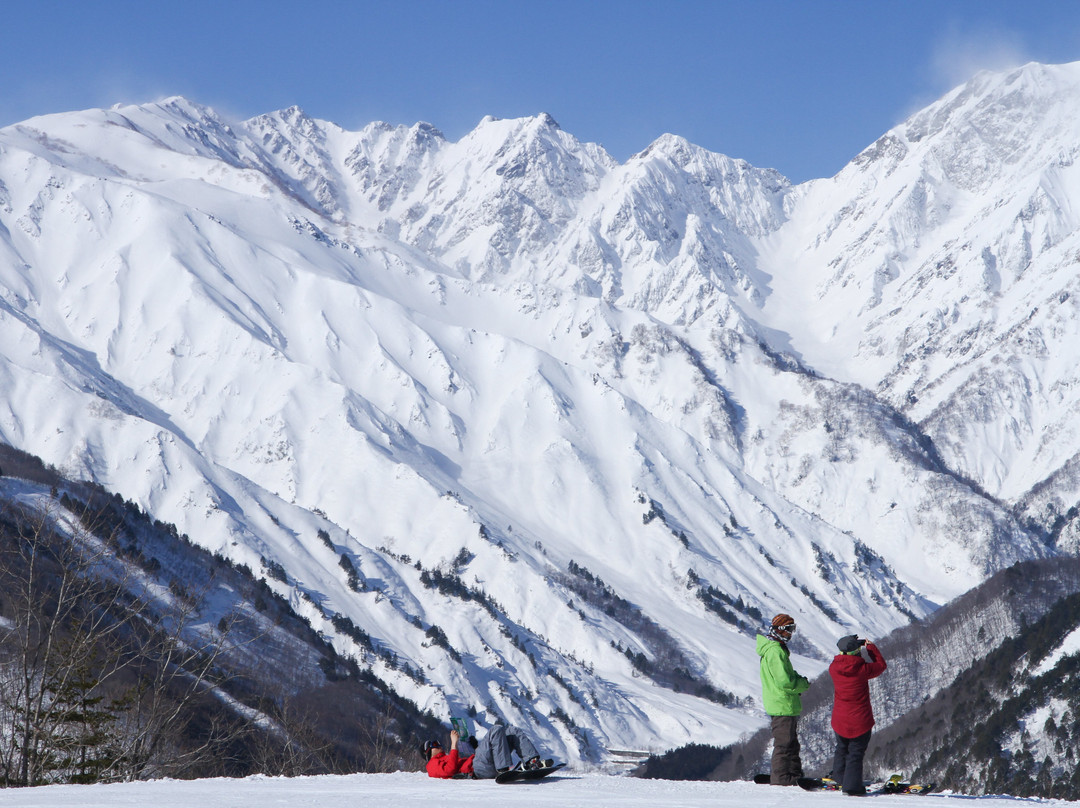 Hakuba Iwatake Snow Field景点图片