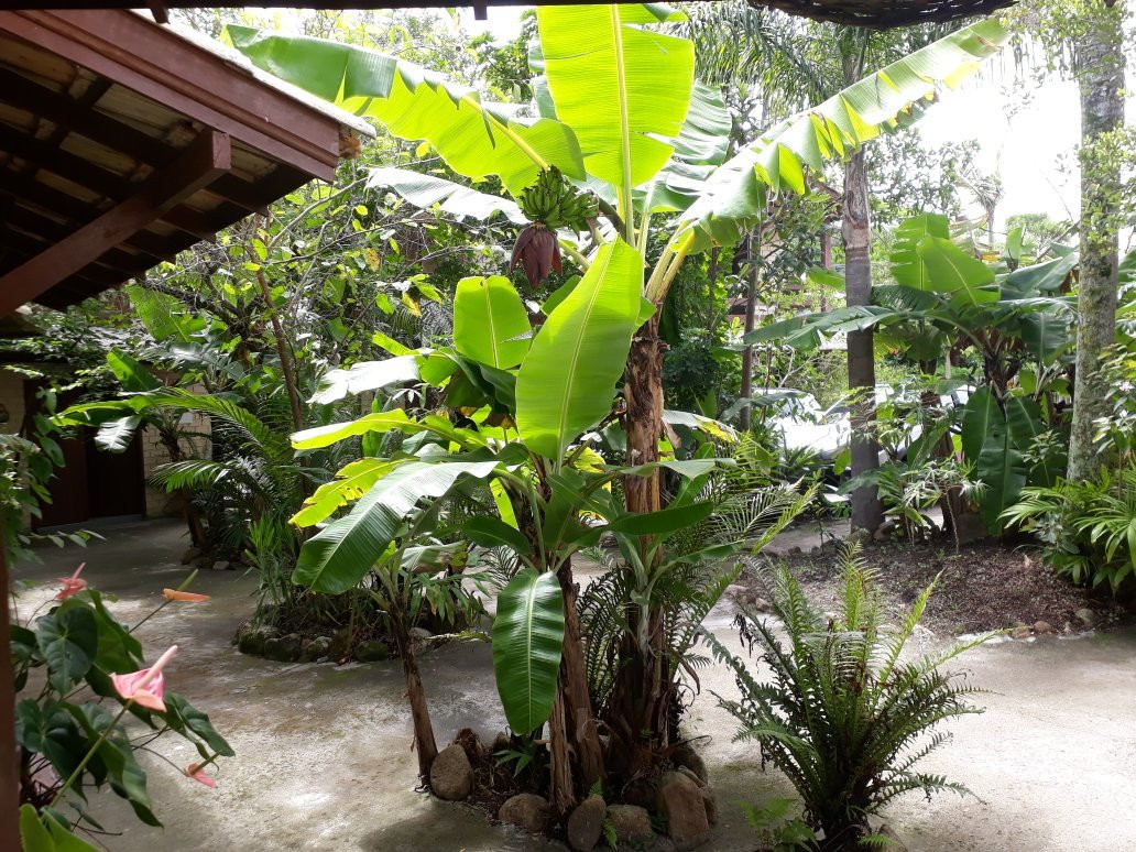 Pousada Familia Quandt主图