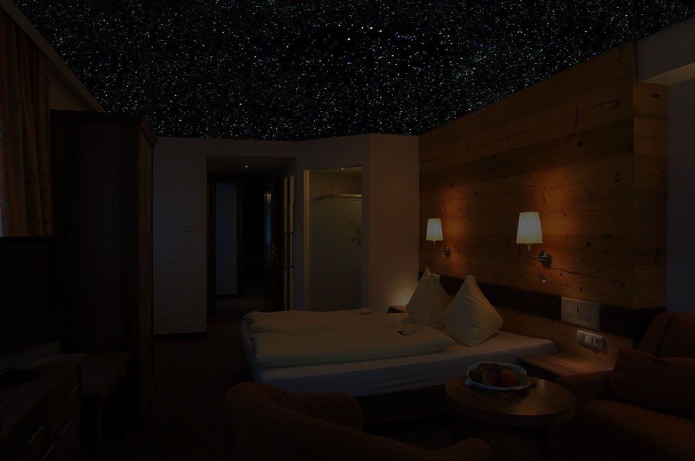 Hotel Lohningerhof-客卧