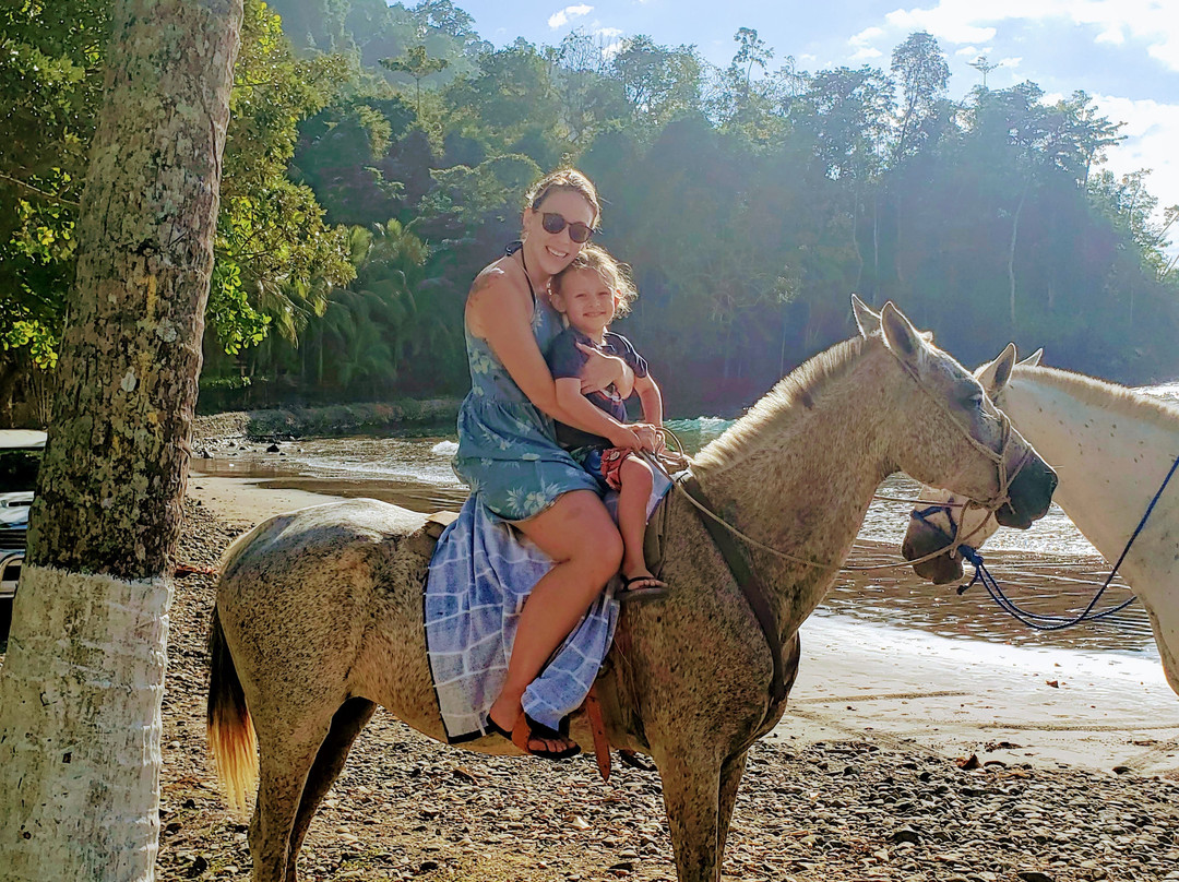 Hotel Club Del Mar主图