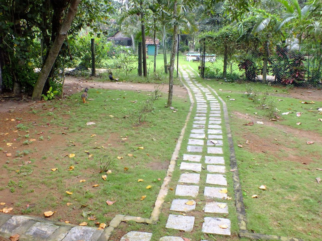 乌龟海滩阿瓦德酒店主图