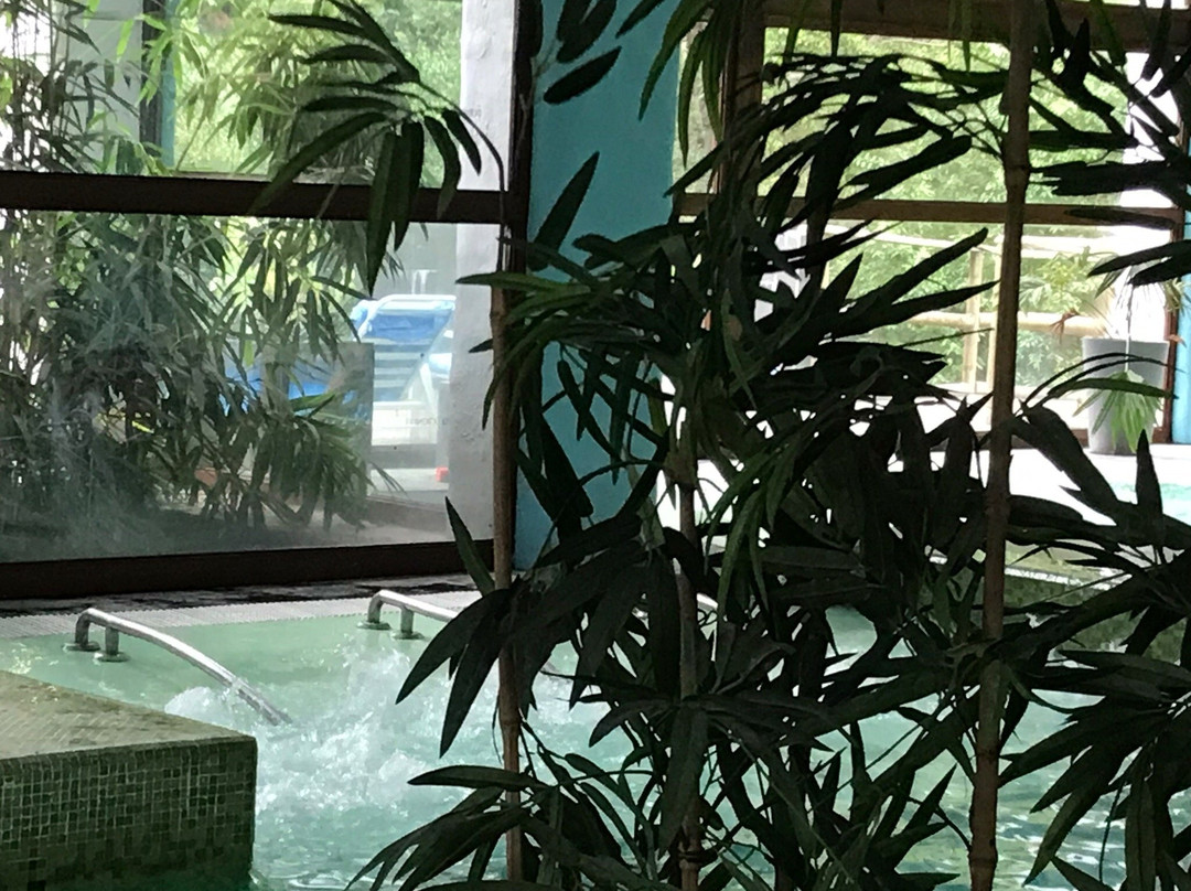 Camino del Agua Spa景点图片