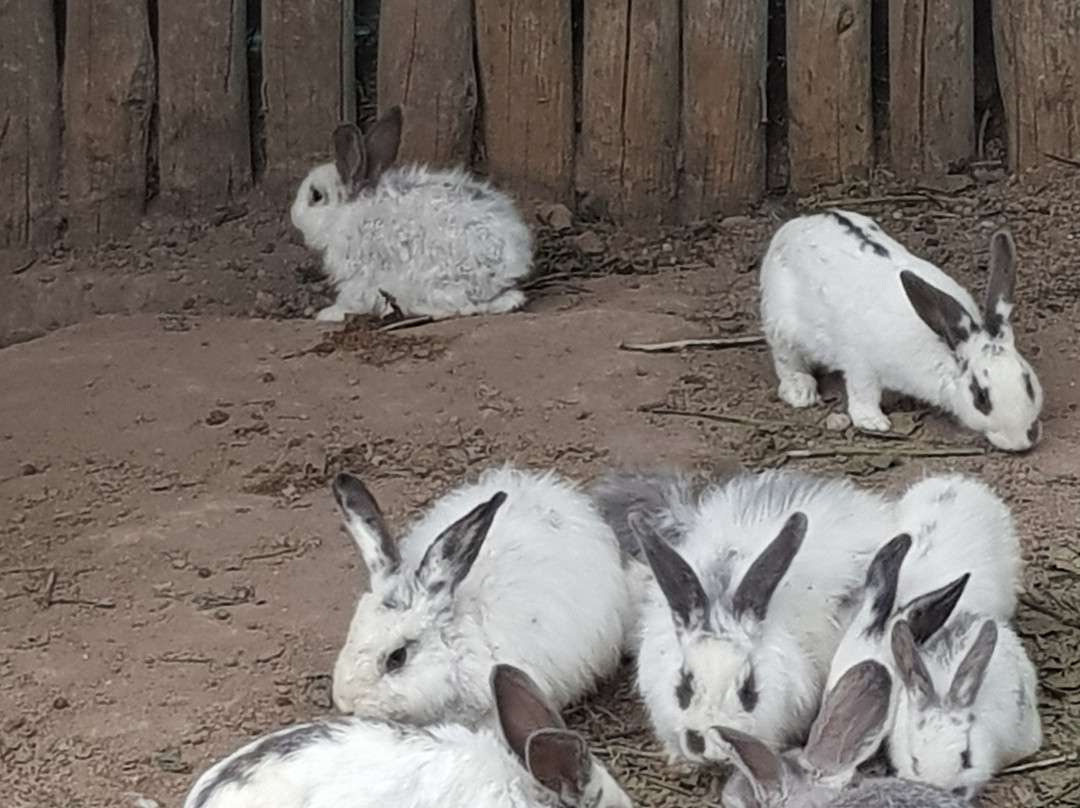 Posada del Jamon主图