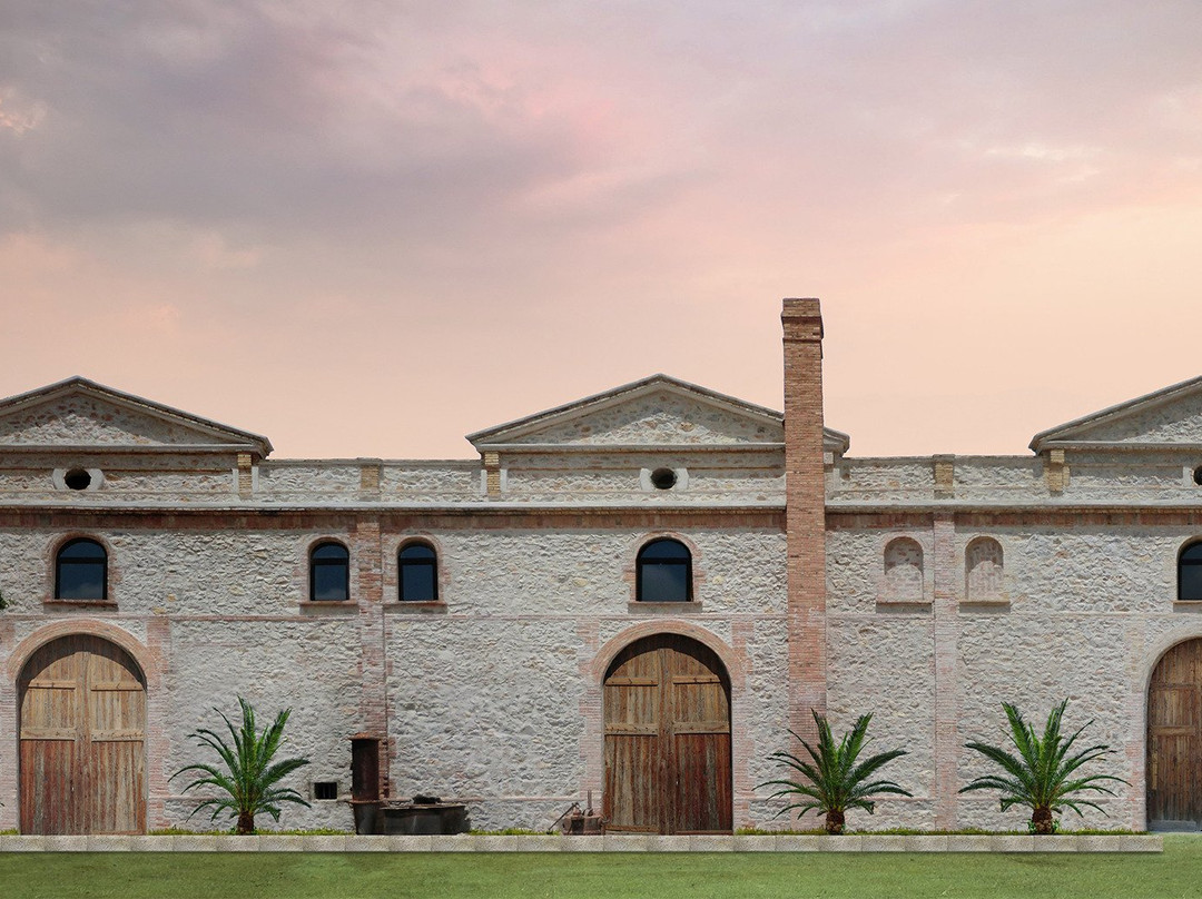 Cati旅游景点-Bodegues Besalduch Valls & Bellmunt