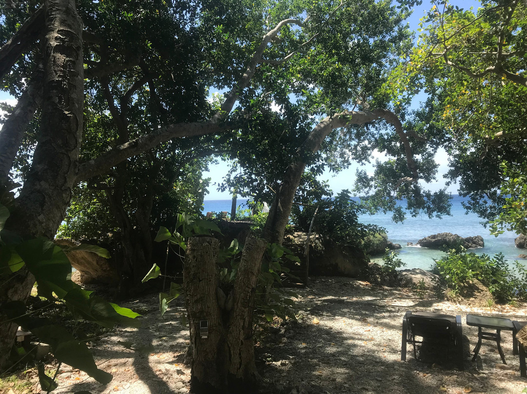 Divi's Boutique Retreat主图