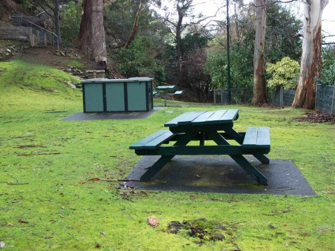 Wellington Park旅游攻略图片