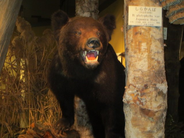 Bibai City Folk Museum-美呗市必去景点