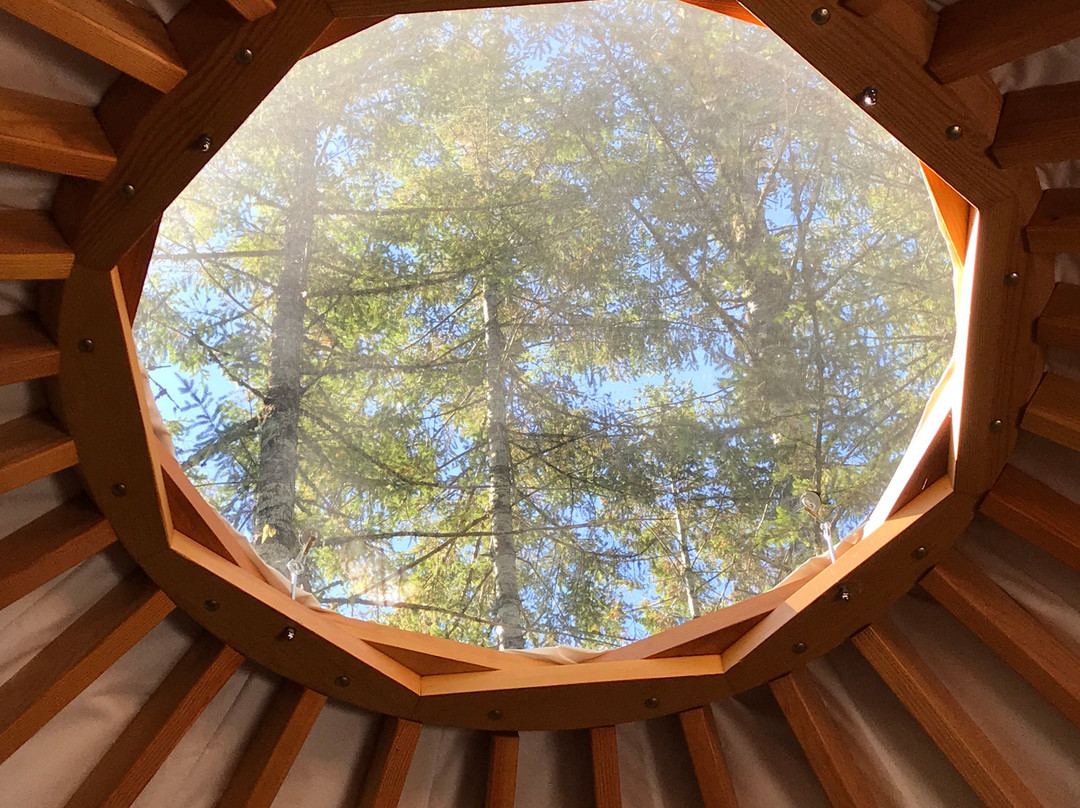 Vernonia Springs主图