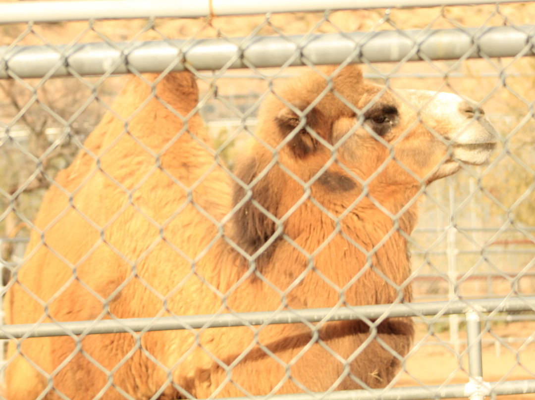 Keepers Of The Wild Nature Park & Wildlife Sanctuary景点图片