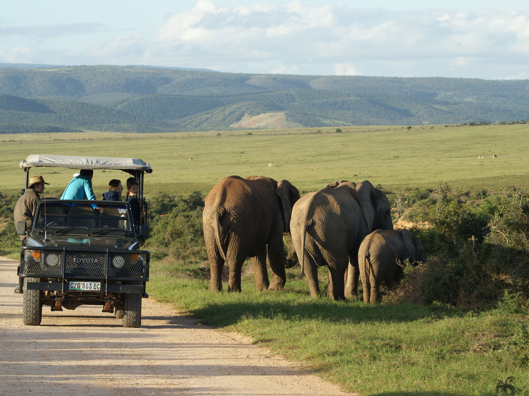 Xama Adventures &  Safaris - Day Tours景点图片
