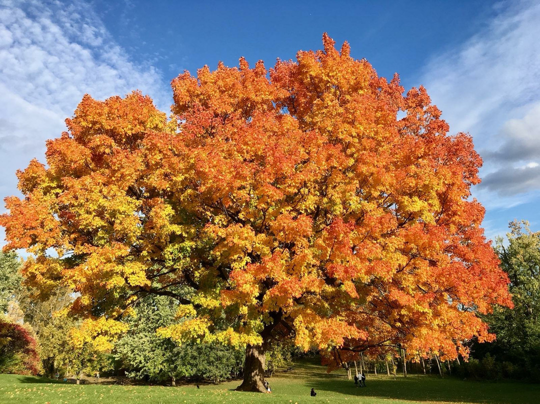 Parc des Prairies-拉瓦尔必去景点