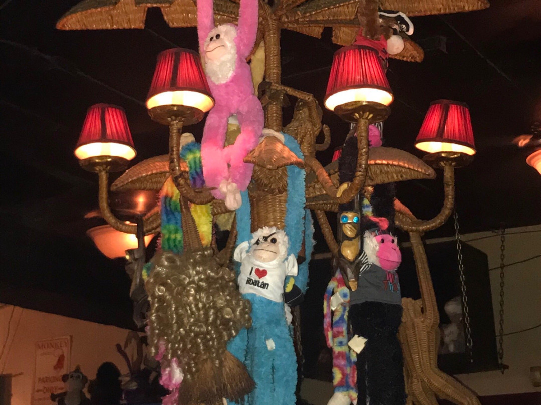 Bobby's Monkey Bar-基韦斯特必去景点