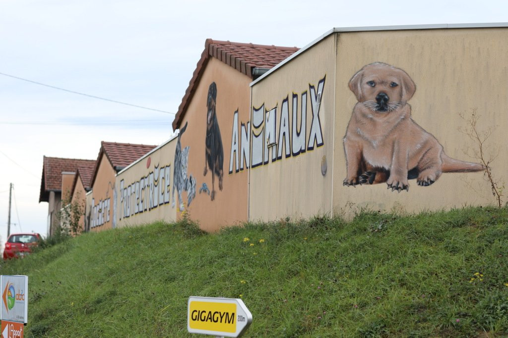 Fresque  Societe Protectrice Des Animaux-Chatenoy-le-Royal必去景点