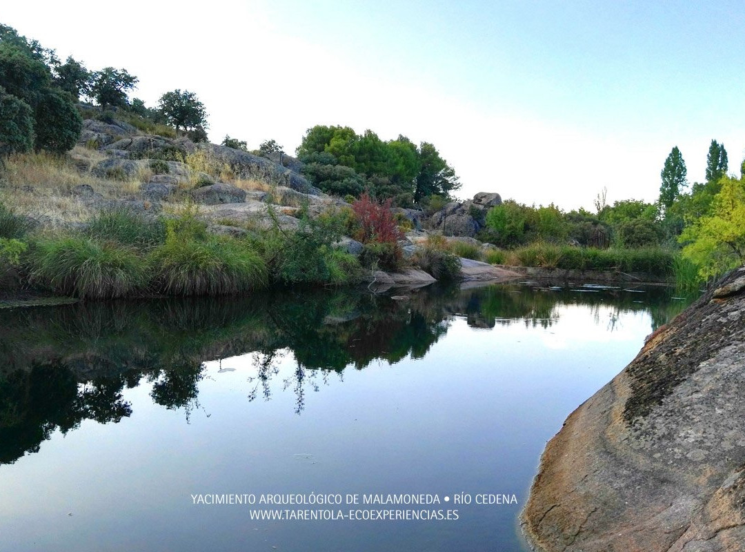 Tarentola Eco-Experiencias-Hontanar必去景点