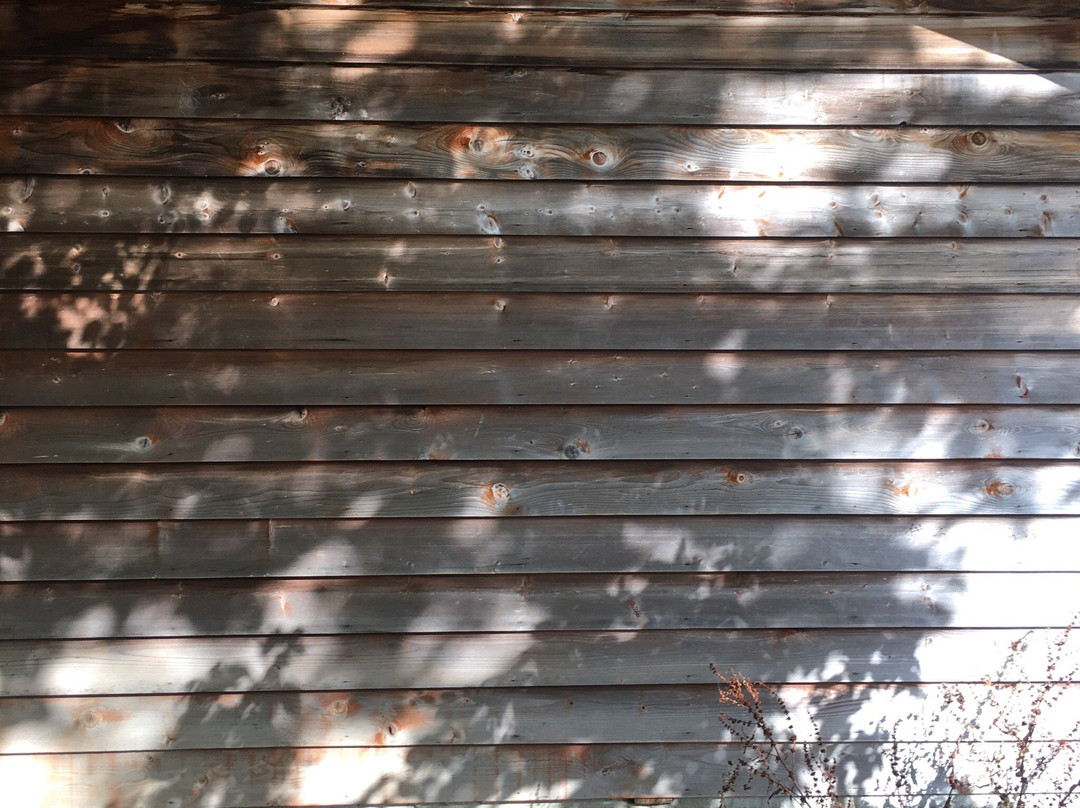 Wagon Public Bathhouse-弟子屈町必去景点