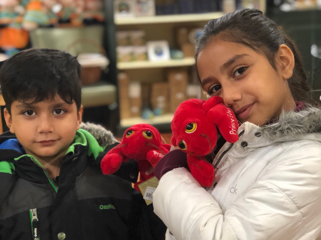 Anne of Green Gables Store-夏洛特镇必去景点