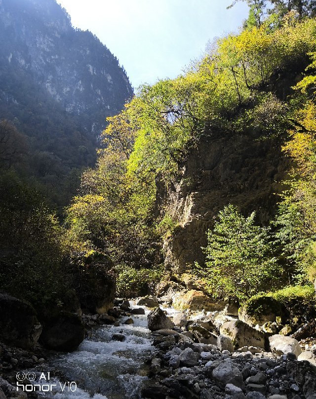 官鹅沟国家森林公园-宕昌县必去景点