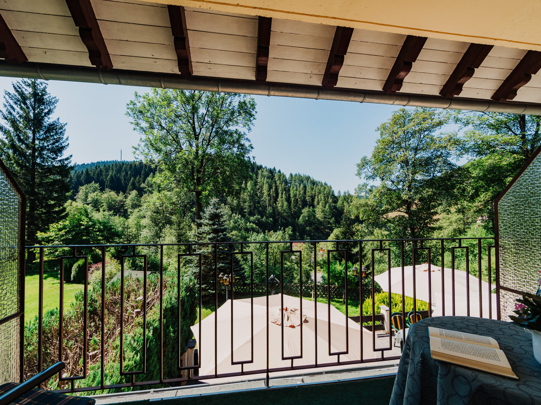 Pension Haus Vogelsang主图