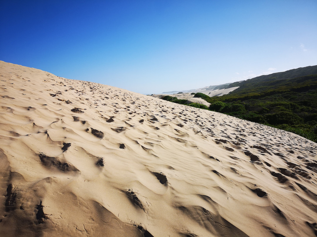 Sardinia Bay Beach景点图片