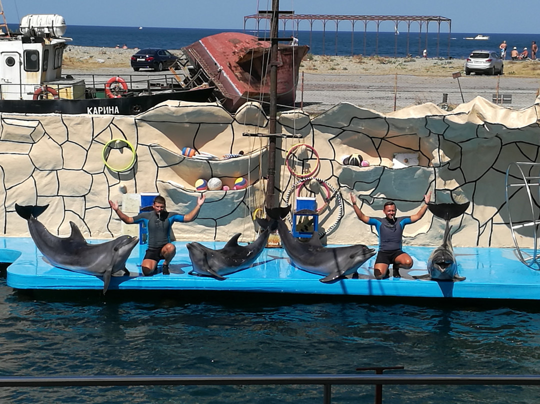 Anapa Dolphinarium in Bolshoye Utrishe