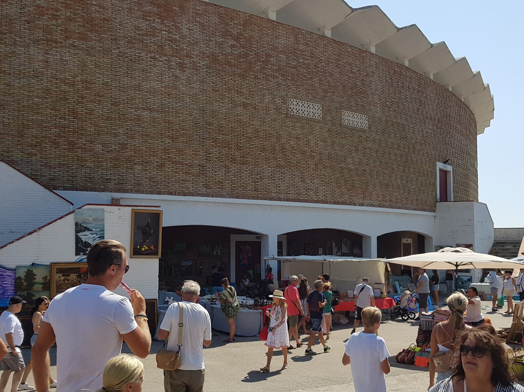 Mercadillo de Marbella-马贝拉必去景点
