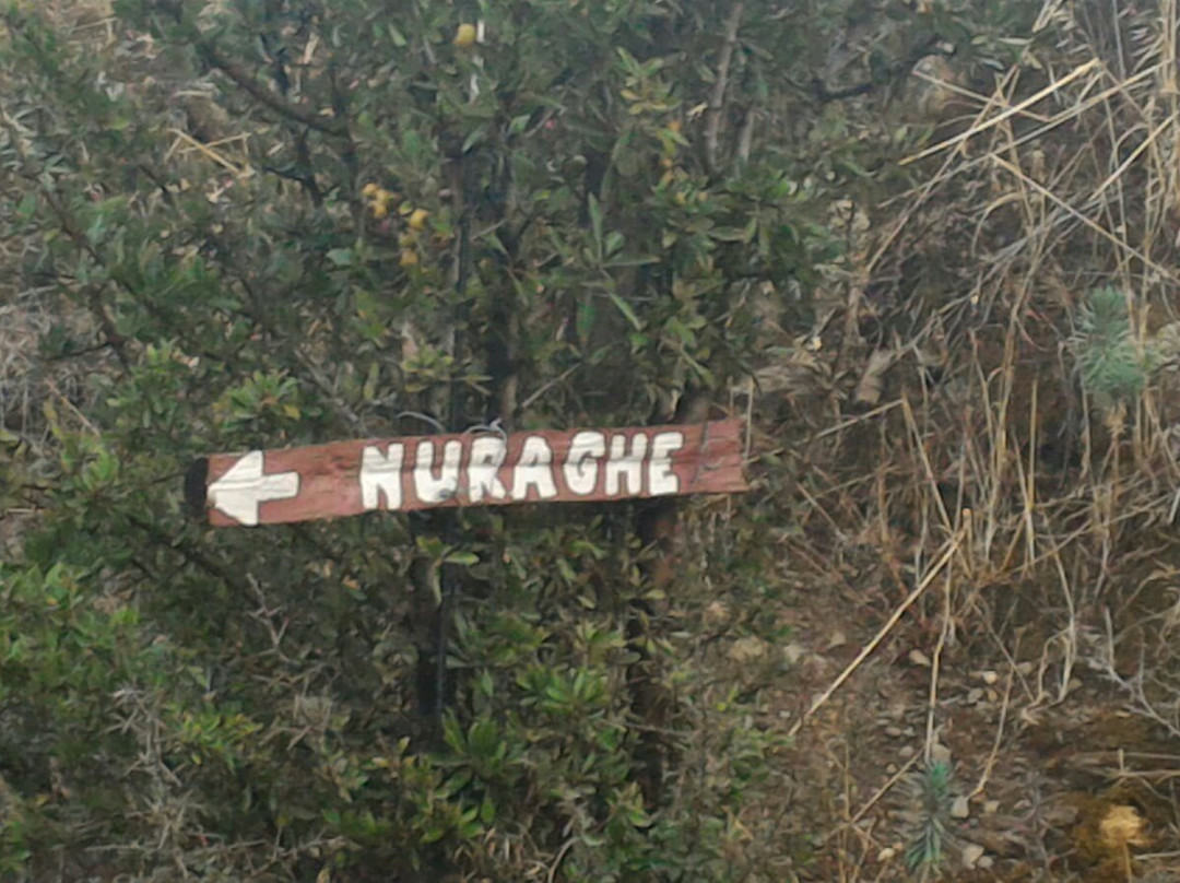 Nuraghe San Pietro景点图片