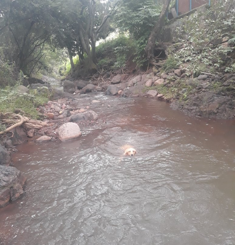 Parque Natural Taretan-Atotonilco El Alto必去景点