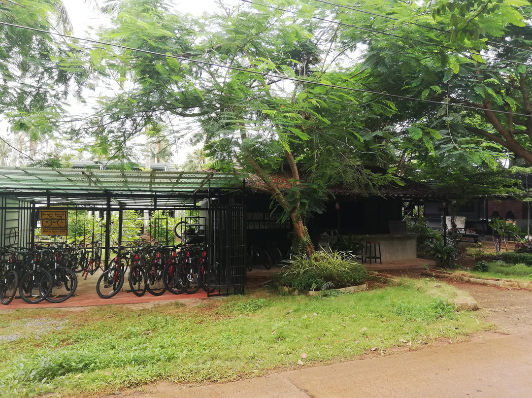 Koh Mak Information & Bike Rental-玛岛必去景点