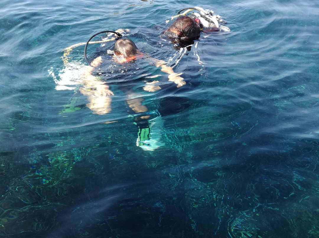 Max Shark Diving-Isola del Giglio必去景点