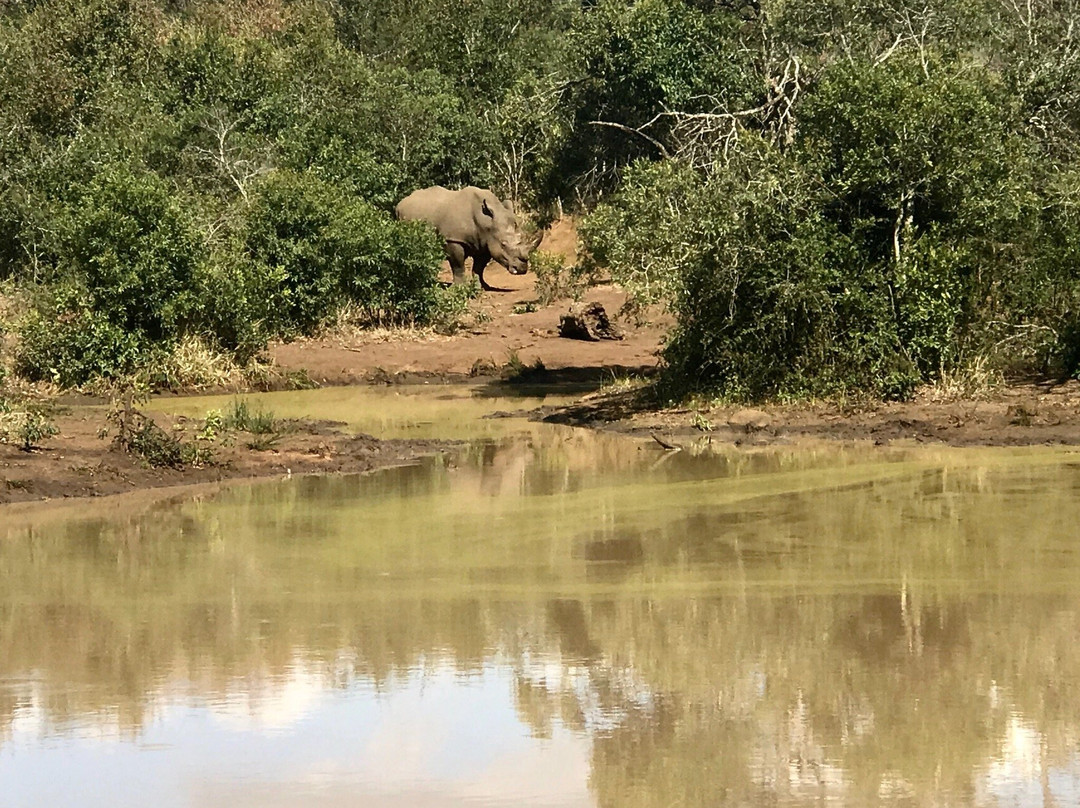 Aloe View Rock Lodge主图