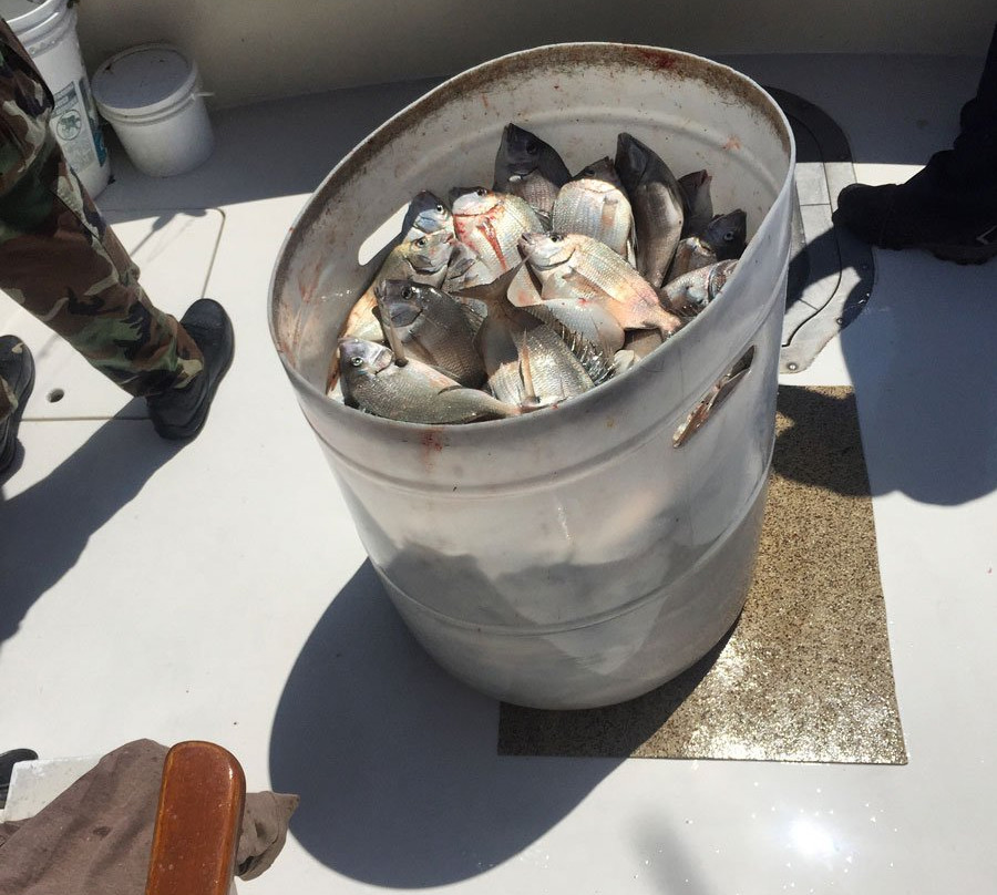 Osprey Sportfishing-格罗顿必去景点