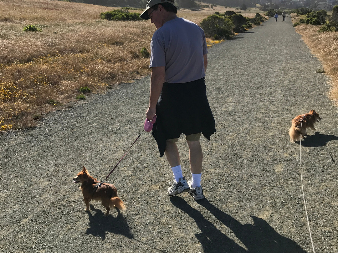 Marine Terrace Trail-坎布里亚必去景点