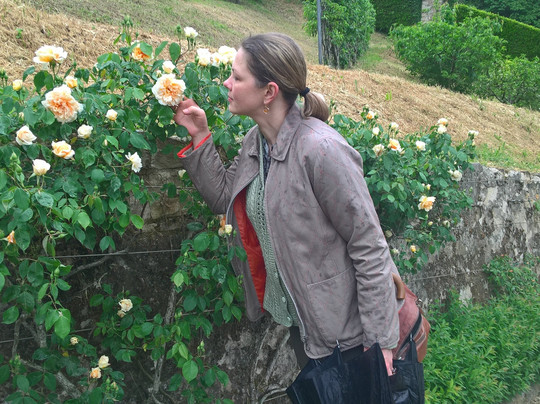 Florencewalk - Guided Tours in Florence-佛罗伦萨必去景点