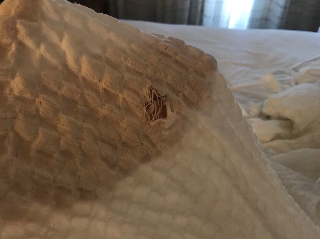 Residence Inn by Marriott Columbia主图