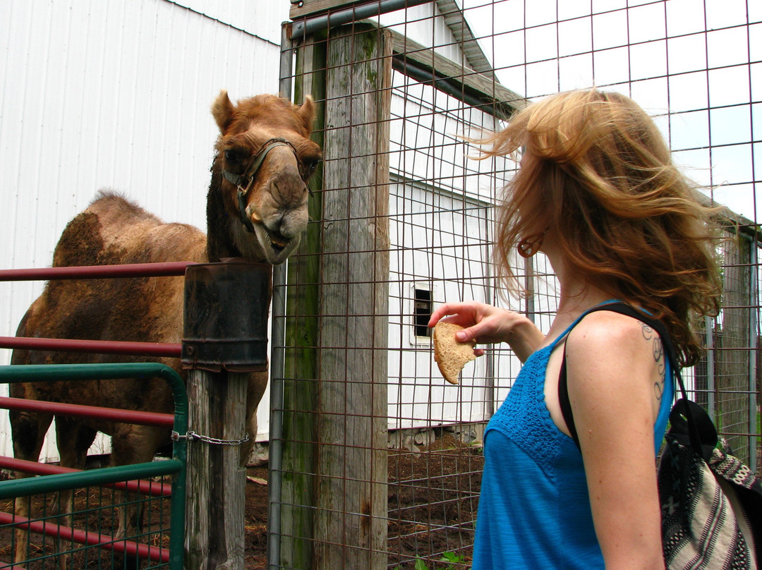 Idle-Hour Ranch-Troy必去景点