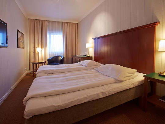 瑞典精英酒店主图