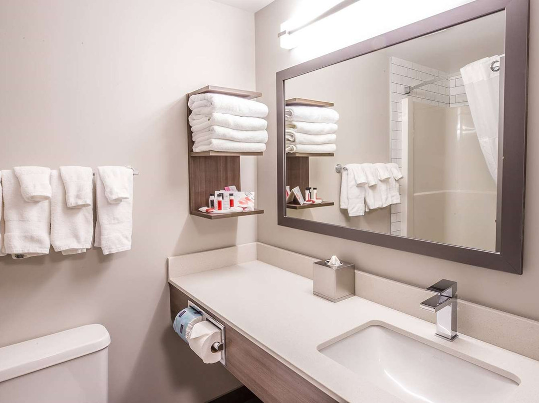 Canalta Cochrane主图