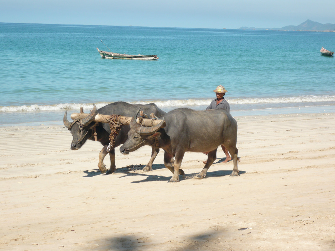 Golden Trails Travels and Tours-仰光必去景点