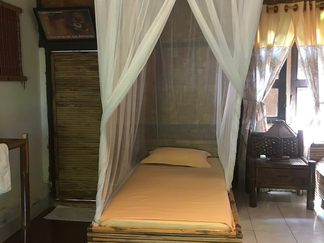 Bukit Lawang Eco-Jungle-Tours-武吉拉旺必去景点