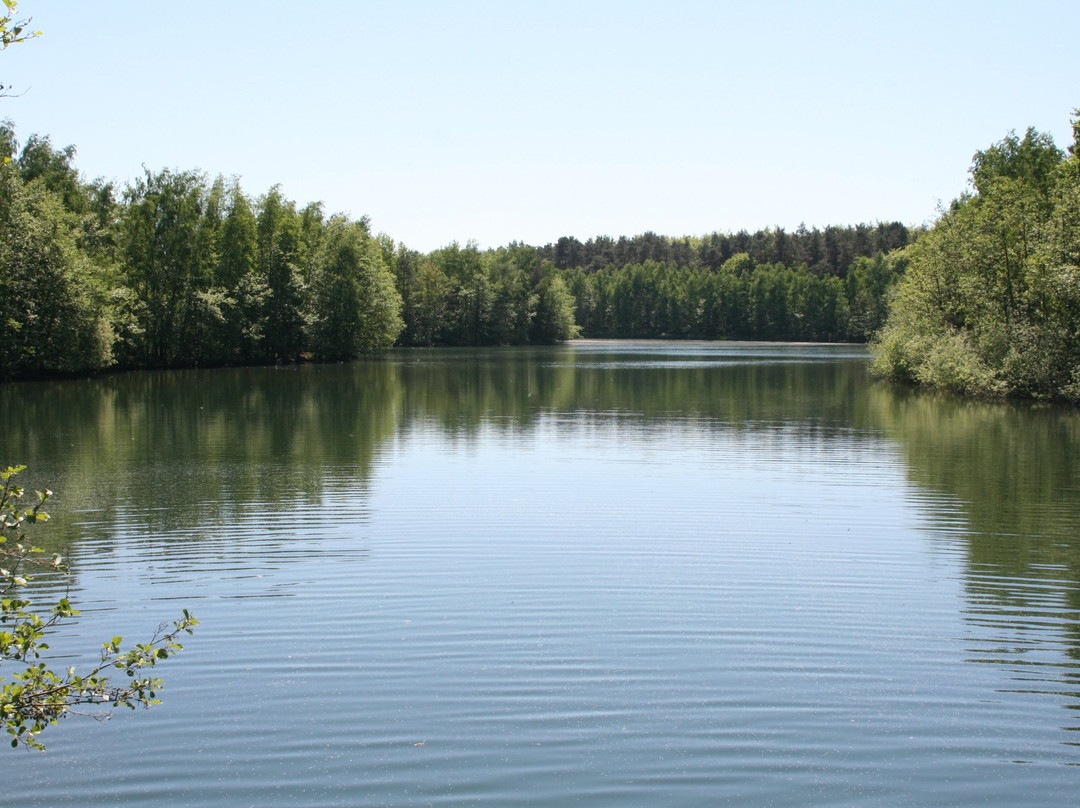 Heidesee in Kirchheller Heide景点图片