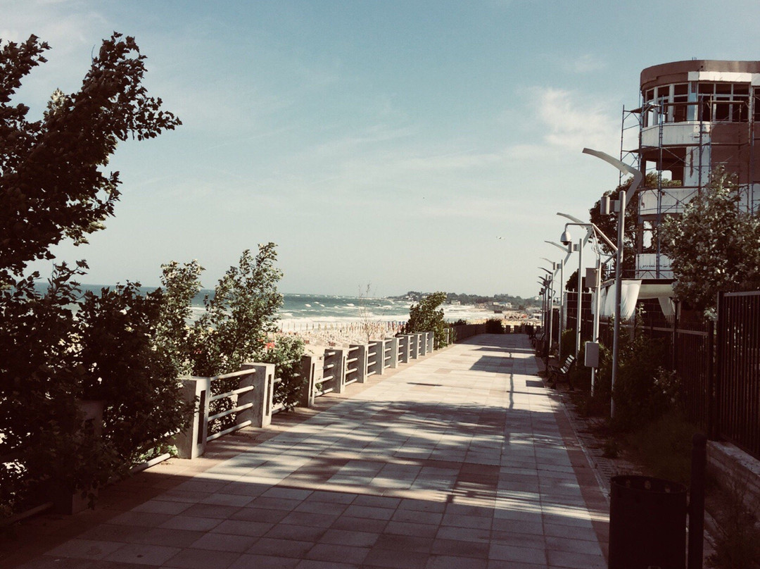 Stella Marina