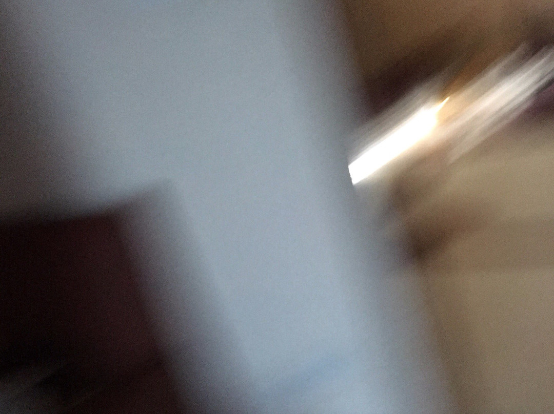 Hotel Rara Avis主图