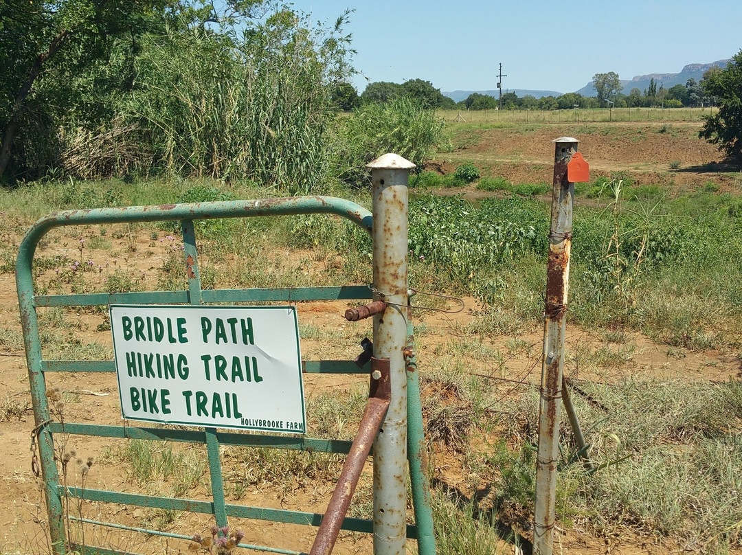 Hollybrooke Adventure Farm主图