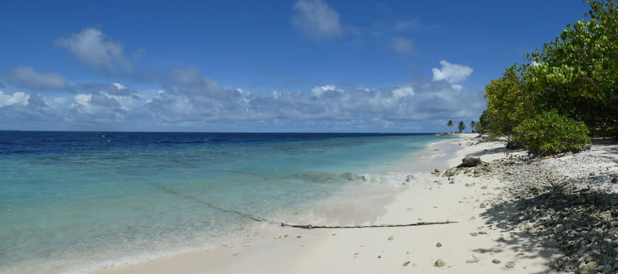 Ocean Beach Inn - Maldives-泳池