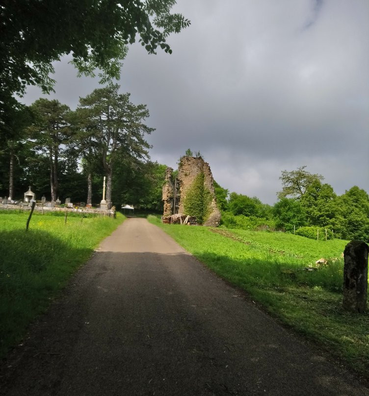 Château fort Médiéval景点图片